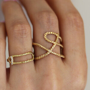 chandally_CD024_equilibrium-ring_model