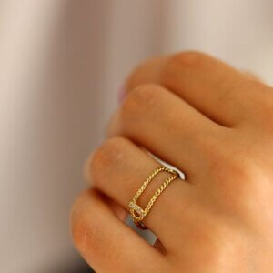chandally_CD029_inlet-ring_model-4